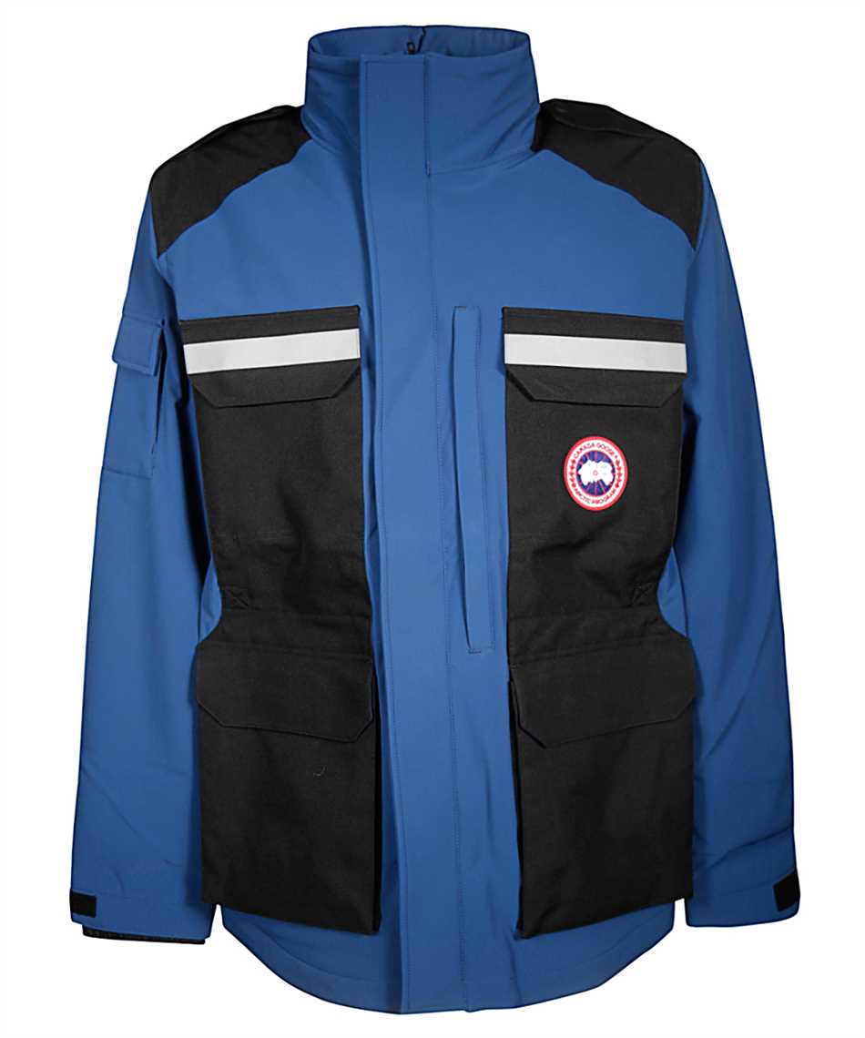 canada goose photojournalist