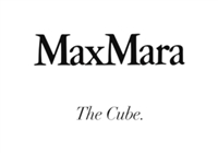 Max Mara The Cube